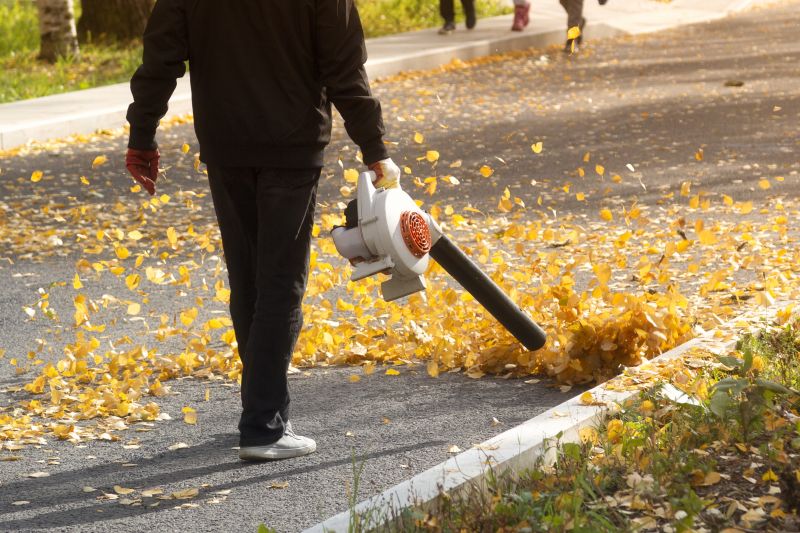Leaf Blowing for Efficient Cleanup