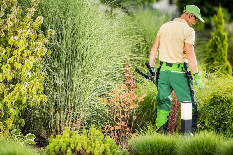 Planting and Tree Services