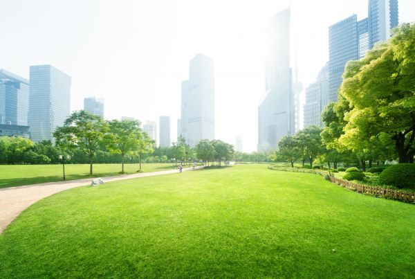 Commercial Landscape Maintenance in Englewood