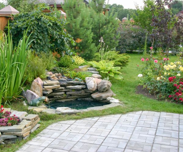 Yard Renovation in Englewood