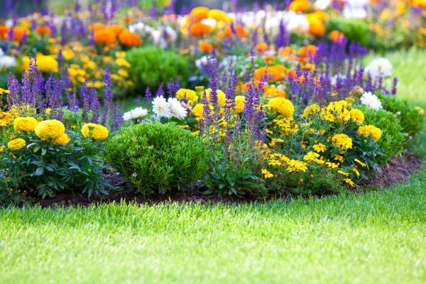 Garden Installation in Englewood