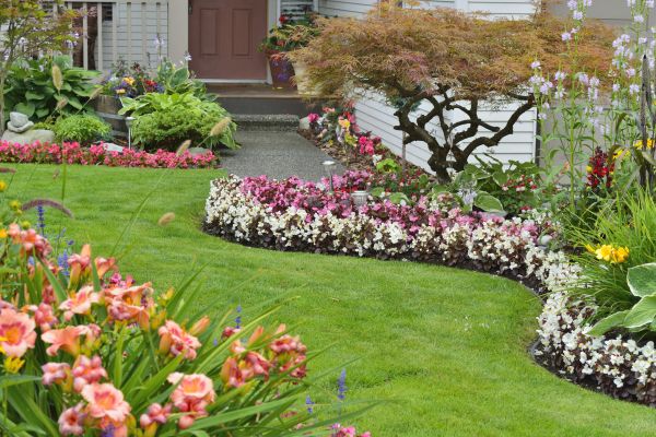 Perennial Landscaping in Englewood