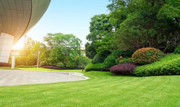 Business Landscape Design in Englewood