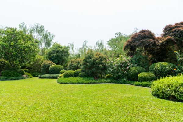 Tree Landscaping in Englewood