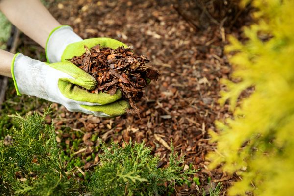 Garden Mulch Delivery in Englewood