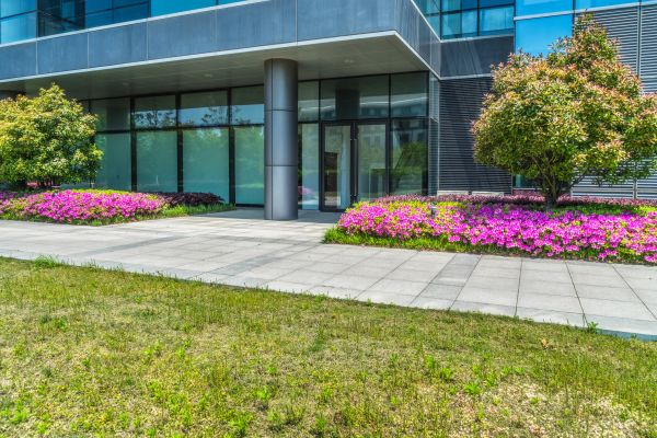 Office Landscaping Design in Englewood