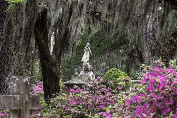 Cemetery Landscaping in Englewood