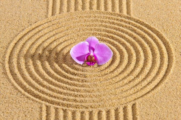 Sand Garden Landscaping in Englewood