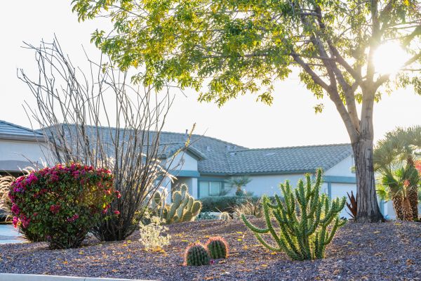 Dryscape Landscaping in Englewood