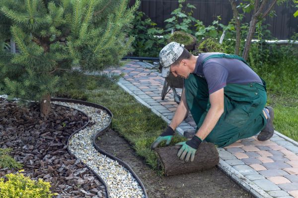 Landscaping Modification in Englewood