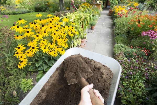 Topsoil Replacement in Englewood