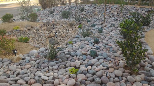 Yard Xeriscaping in Englewood