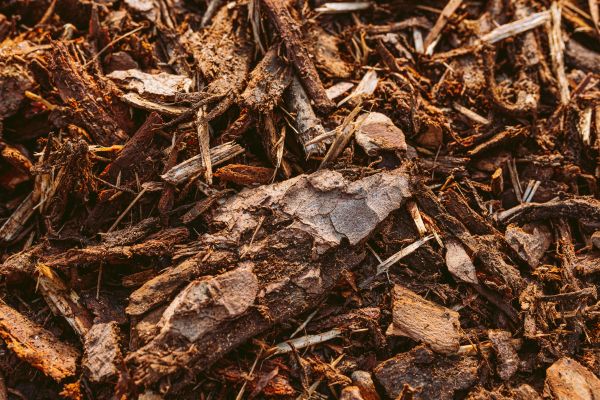 Bark Mulch Delivery in Englewood