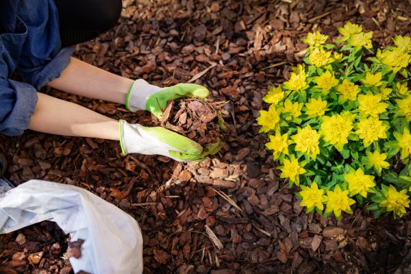 Plant Bed Mulching in Englewood