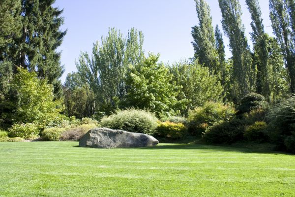 Yard Enlargement in Englewood