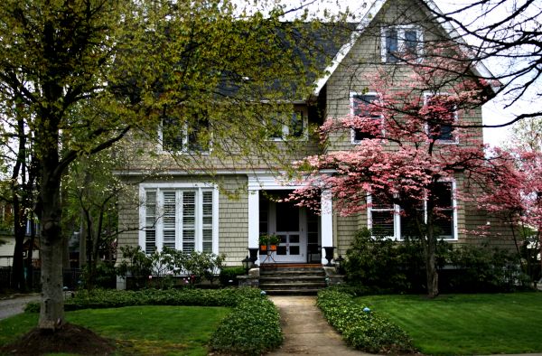 Ornamental Tree Planting in Englewood