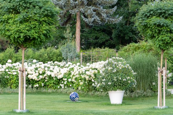 Lawn Landscaping Service