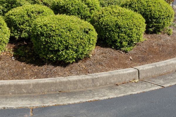 Pine Mulch Installation in Englewood