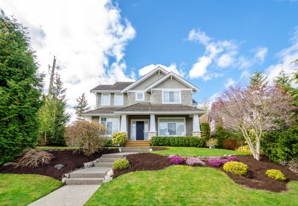 Landscaping Replacement in Englewood
