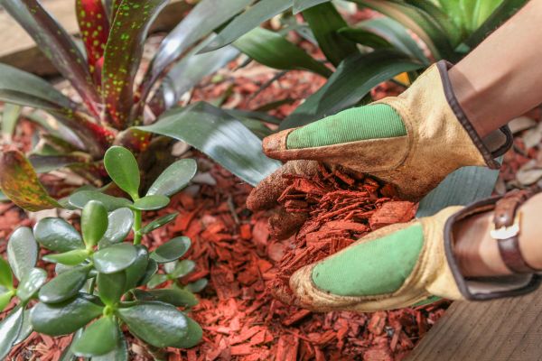 Residential Mulching in Englewood