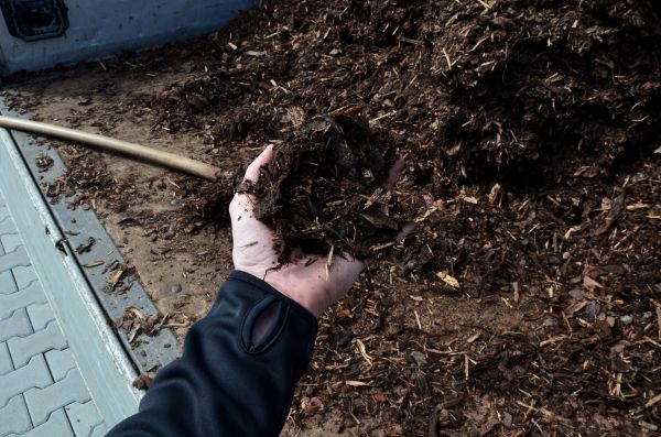 Condo Mulching in Englewood