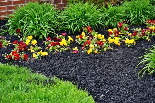 Apartment Mulching in Englewood