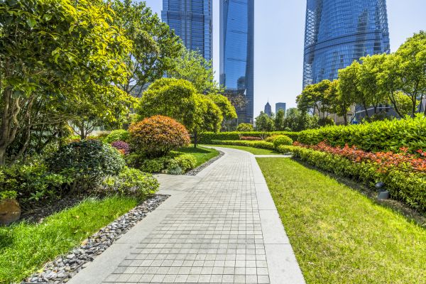 Commercial Landscaping in Englewood